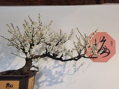 -颐和园