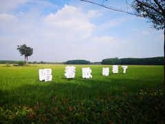 -嘉北郊野公园