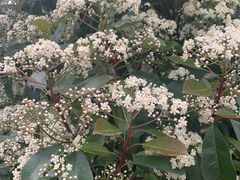 -帐篷客·溪龙茶谷度假酒店