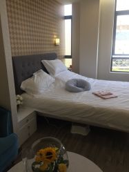 -海豚湾高端月子会所(黄浦店)