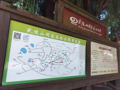 -武陵山森林公园