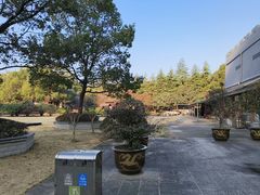 -陶祖圣境风景区