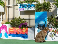 -上海市敬业中学