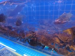 -星伦多自助料理(永旺店)