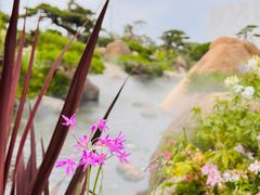 -罗红摄影艺术馆