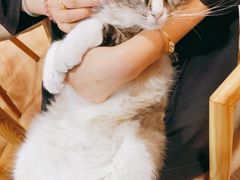 -白兔子密室(长寿路店)