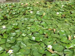 附近就是翠湖-文山荷鲜居(翠湖店)