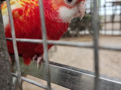 -南宫五洲植物乐园