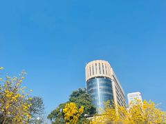 -狐尾山公园