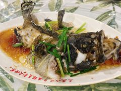 -四姑娘川味海鲜(八爪鱼店)