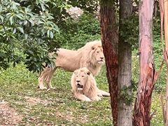 -泉州海丝野生动物世界