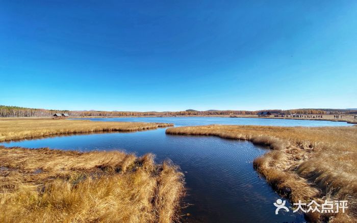 塞罕坝国家级自然保护区图片
