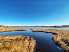 -塞罕坝国家级自然保护区