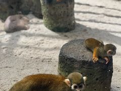 -北海海底世界