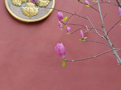 -西安市广仁寺