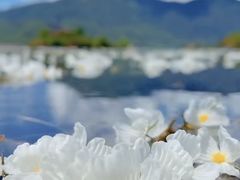 -泸沽湖国家级风景名胜区走婚桥