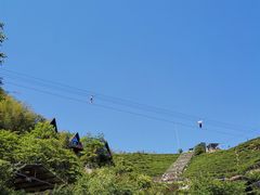 -长沙黑麋峰国家森林公园