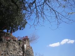 -北京鹫峰国家森林公园