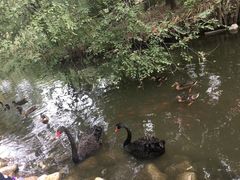 -北京麋鹿生态实验中心