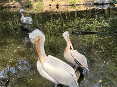 -济南野生动物世界