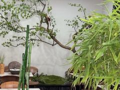 -隐厨·海鲜餐厅(恒通路店)