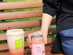 -奈雪的茶(天河城店)
