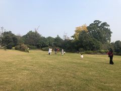 -桃花岛景观公园