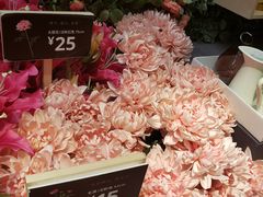 -宜家家居(四元桥商场店)