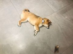 -NOTBAD 须时·咖啡馆