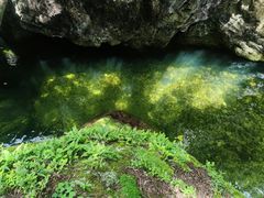 -牛背梁国家森林公园