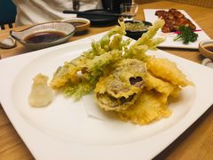 -一本钓鲔鱼屋