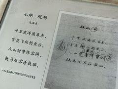 -观潮胜地公园