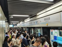 -陆家浜路(地铁站)