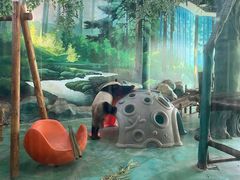 -五龙山野生动物王国
