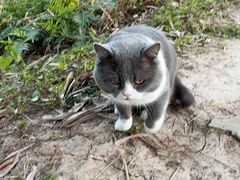 -三圣花乡旅游区