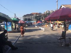 -长宁东道花卉宠物市场