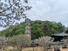 -紫阳古街