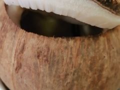 -佛有缘素食馆·荔湾老字号(陈家祠首店)
