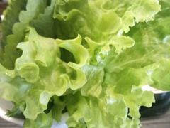 -青松大叔的店(东财店)