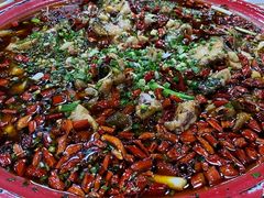 -东吴霸王兔(松青路店)