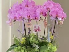 -F.Story 花和故事(新天地店)