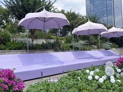 -光明港公园