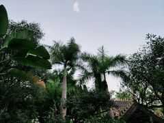 -西双版纳洲际度假酒店兰吧