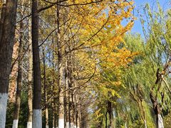 -杭州电子科技大学(下沙校区)