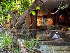 -帕帕拉兹宠物(亚洲旗舰店)