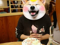 -小苍兰风铃草蛋糕甜品(沈阳店)