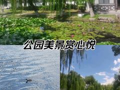 -莫愁湖公园