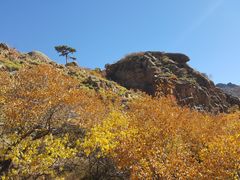 -克什克腾世界地质公园青山景区