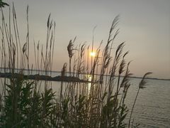 -阳澄湖半岛旅游度假区