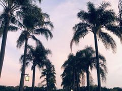 -南宁南湖公园